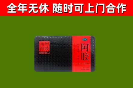 五华回收阿胶